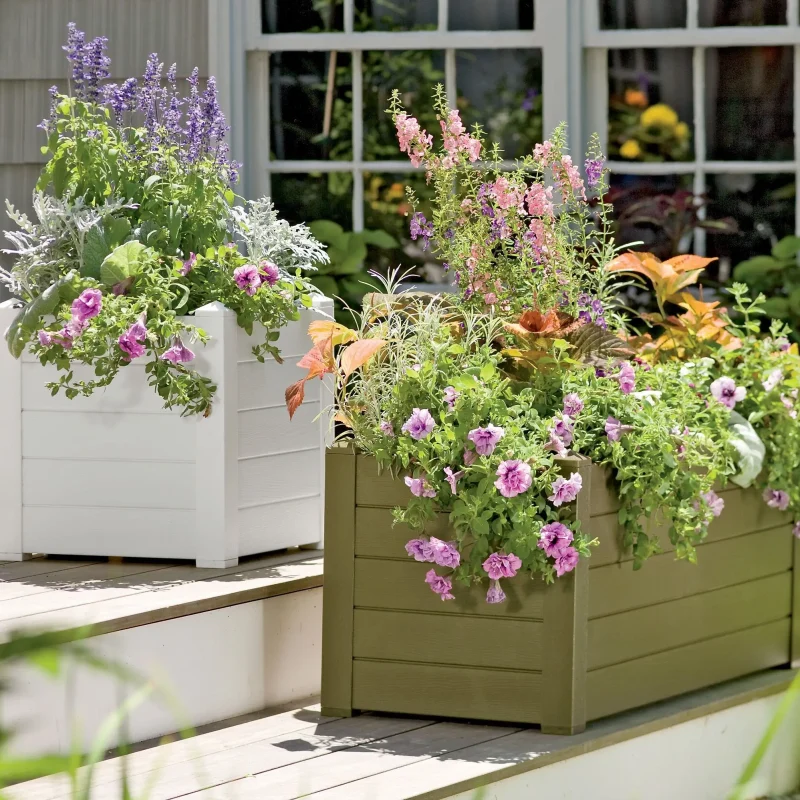 Outdoor Plants - Category